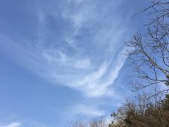 -木兰云雾山