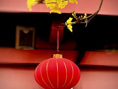 -光孝寺