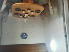 -金山农民画村-枫泾波兰倒置屋