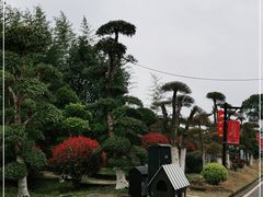 -武汉紫薇都市田园