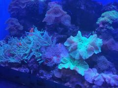 -多彩贵州城极地海洋世界