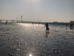 -南汇嘴观海公园