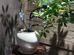 -汤家茗苑·精致私房菜(白沙店)