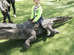 -南通洲际绿博园