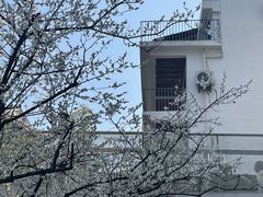 -原乡芦茨咖啡