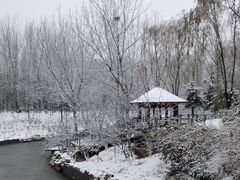 -大兴滨河森林公园