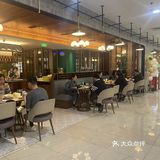 茶港～春日上新之樱花🌸系