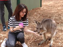 -费瑟代尔野生动物园