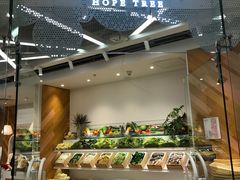 -许小树(国贸商城店)