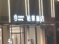 -松果酒店(农业路河南博物院店)