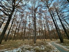 -长春市南湖公园