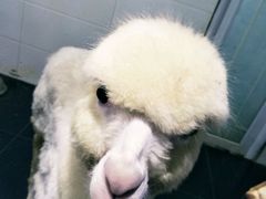 -重庆欢乐海底世界