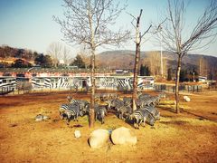 -大连森林动物园