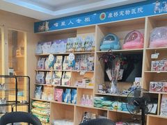 -千城康桥宠物医院·猫科·骨科·心脏