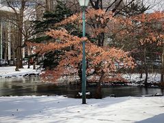 -北海道厅旧本厅舍(旧本庁舎)