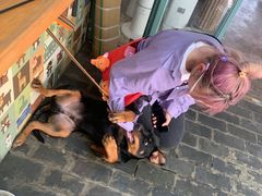 -喵屿·大理花园猫咖