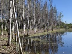 -东郊湿地公园