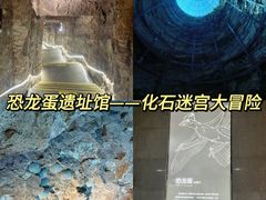 -中国西峡恐龙遗迹园