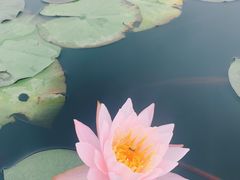 -琅岐红光湖公园