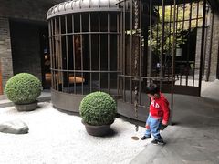 -成都观隐颐云台酒店-芳菲秀