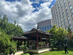 -亮马河饭店翠雅咖啡厅