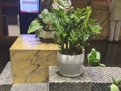 -黔蘑菇四季餐厅(观山湖店)