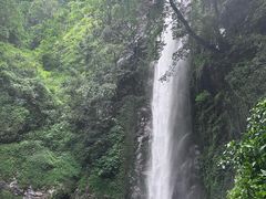 -莫里热带雨林景区
