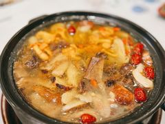 -蘑统田下·野生菌火锅