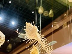 -青岛贝壳博物馆