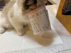 -宠爱国际动物医院·消化内科·心肾内科·ISFM猫友好(望京店)