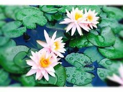 -贵阳市花溪国家城市湿地公园