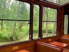 -合肥滨湖国家森林公园