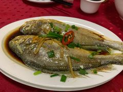 -蛇口康乐快餐鱼仔档(翠苑小区店)