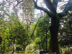 -香港大学