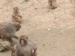 -南京珍珠泉风景区
