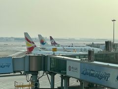 -哈尔滨太平国际机场-T2航站楼