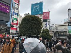 -涩谷区