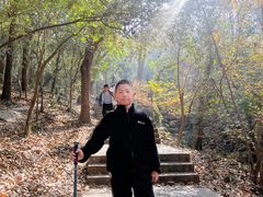 -紫金山山顶公园