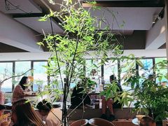 -本处·素食·融合料理(南油店)
