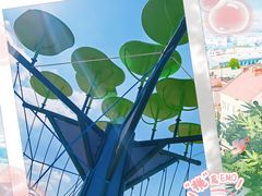 -上海山野camping·户外天幕烧烤·团建拓展营地