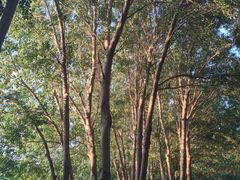 -长春公园(普阳街道)