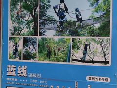 -芦仙山景区-飞越丛林探险乐园