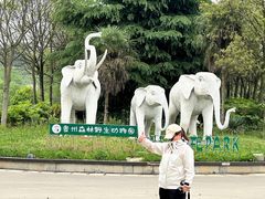 -贵州森林野生动物园