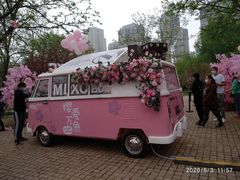 -长白岛森林公园