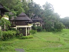 -四季酒店下午茶