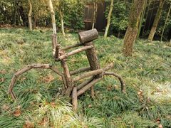 -昆山城市生态森林公园