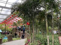 -南宫五洲植物乐园