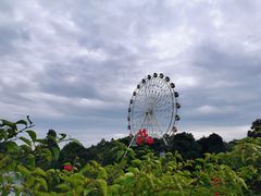-观澜湖生态运动公社