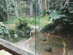 -火烈鸟餐厅