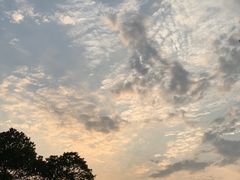 -上海滨江森林公园
